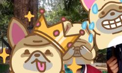 Featured image of post Life